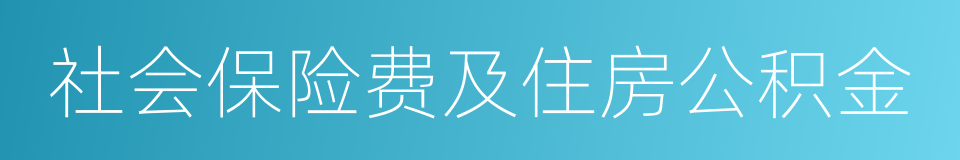 社会保险费及住房公积金的同义词