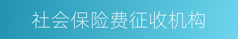 社会保险费征收机构的同义词
