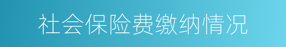 社会保险费缴纳情况的同义词