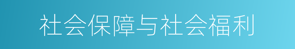 社会保障与社会福利的同义词