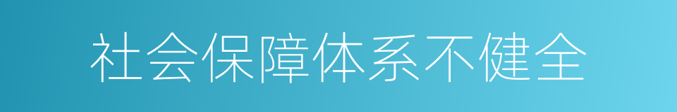 社会保障体系不健全的同义词