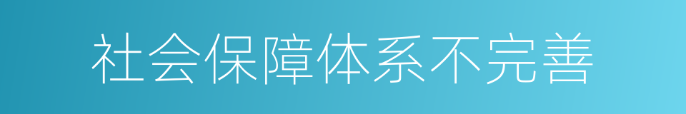 社会保障体系不完善的同义词