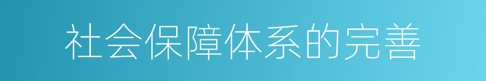 社会保障体系的完善的同义词