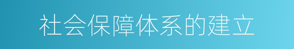 社会保障体系的建立的同义词