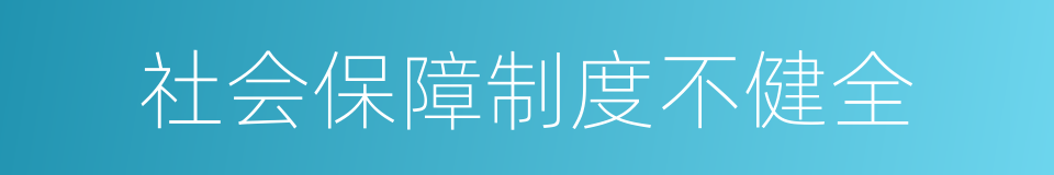 社会保障制度不健全的同义词