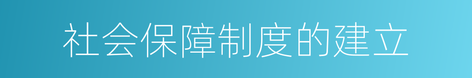 社会保障制度的建立的同义词