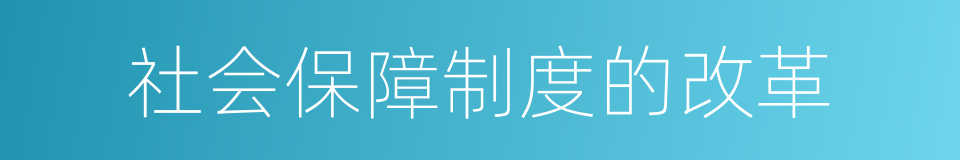 社会保障制度的改革的同义词