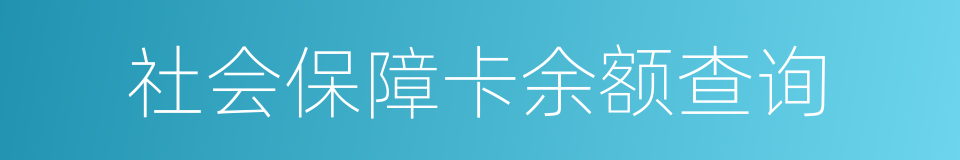 社会保障卡余额查询的同义词