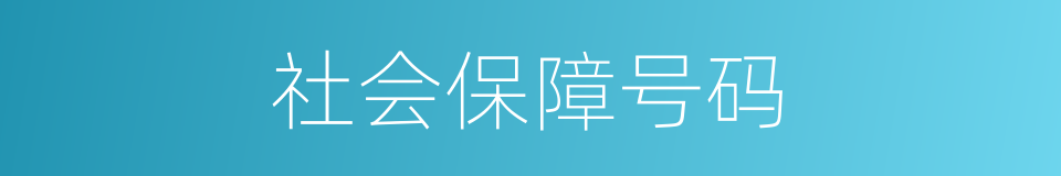 社会保障号码的同义词