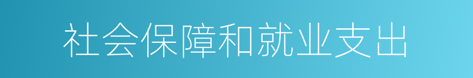 社会保障和就业支出的同义词