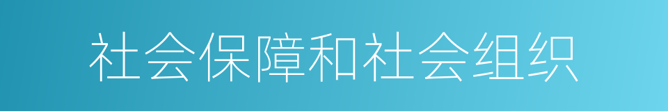 社会保障和社会组织的同义词