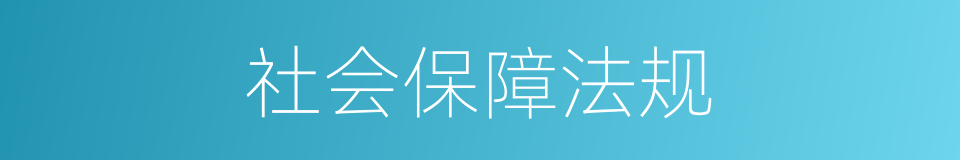 社会保障法规的同义词