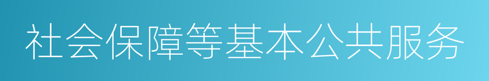 社会保障等基本公共服务的同义词