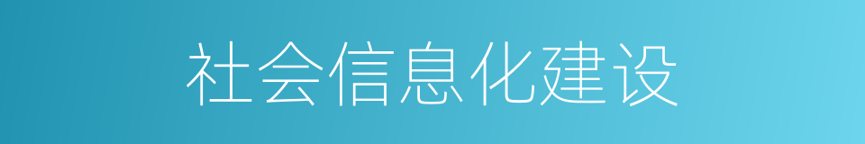 社会信息化建设的同义词