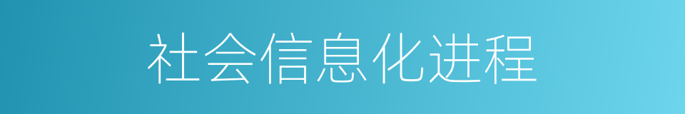 社会信息化进程的同义词