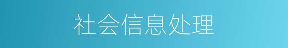 社会信息处理的同义词