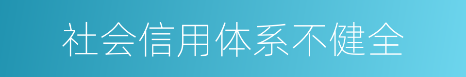 社会信用体系不健全的同义词