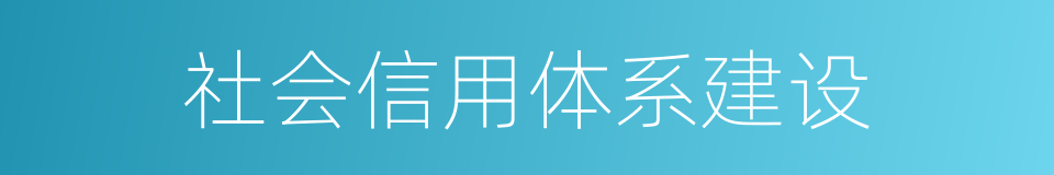 社会信用体系建设的同义词