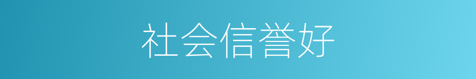 社会信誉好的同义词