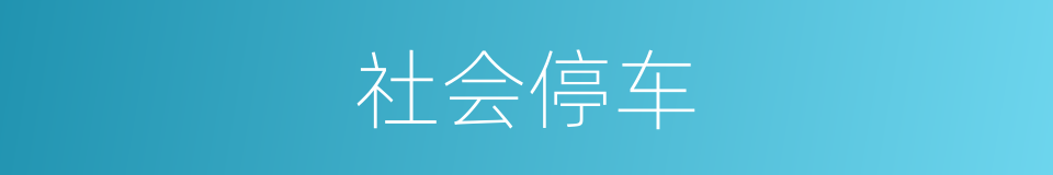 社会停车的同义词