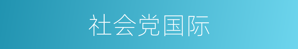 社会党国际的同义词