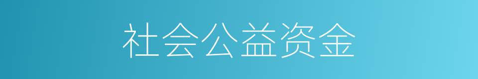 社会公益资金的同义词