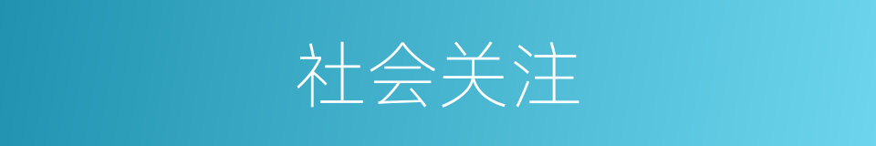 社会关注的同义词