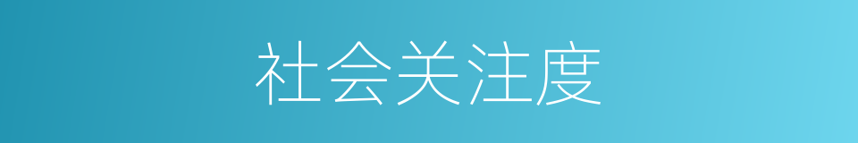 社会关注度的同义词