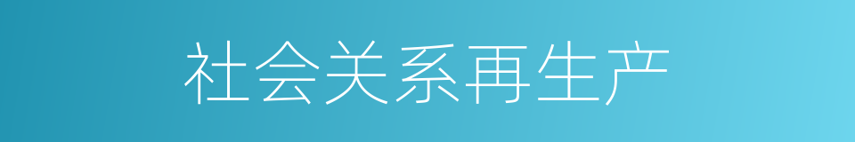 社会关系再生产的同义词