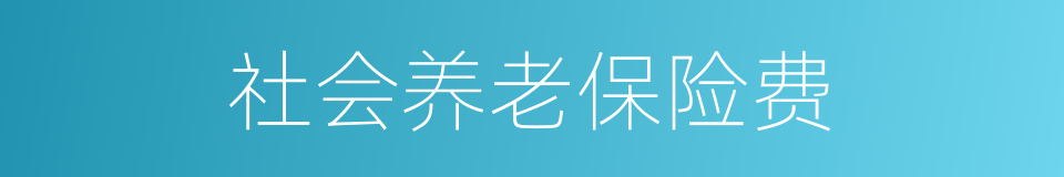 社会养老保险费的同义词