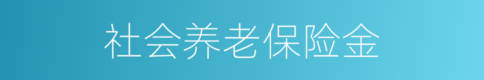 社会养老保险金的同义词