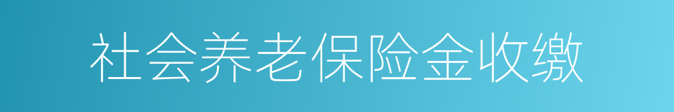 社会养老保险金收缴的同义词