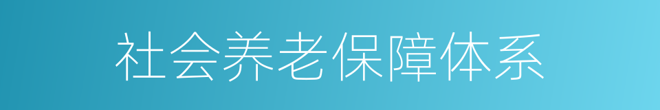 社会养老保障体系的同义词