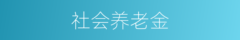 社会养老金的同义词