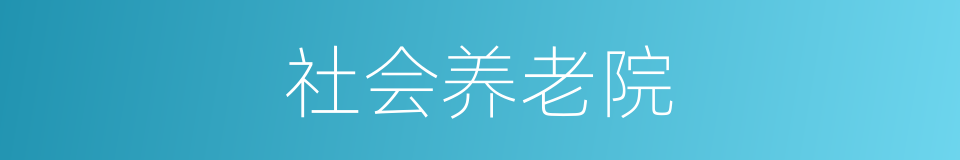 社会养老院的同义词