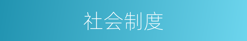 社会制度的意思
