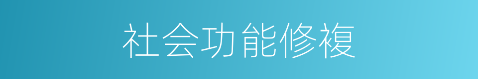 社会功能修複的同义词