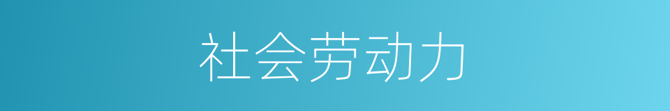 社会劳动力的同义词