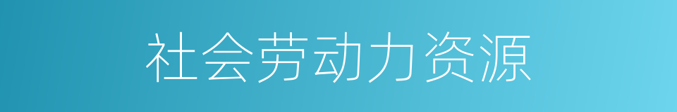 社会劳动力资源的同义词