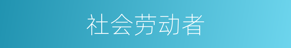 社会劳动者的同义词