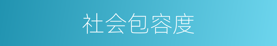 社会包容度的同义词