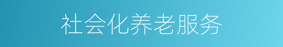 社会化养老服务的同义词