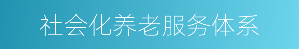 社会化养老服务体系的同义词