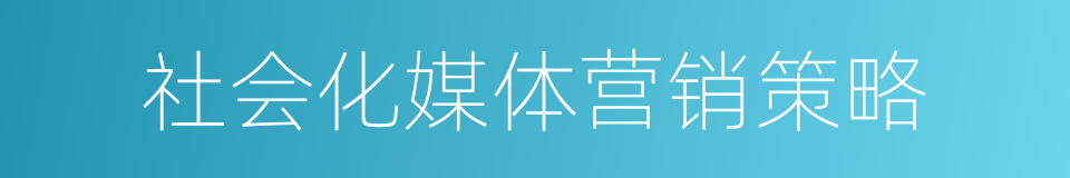 社会化媒体营销策略的同义词