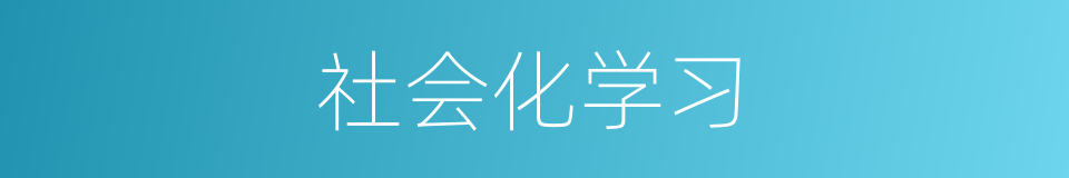 社会化学习的同义词