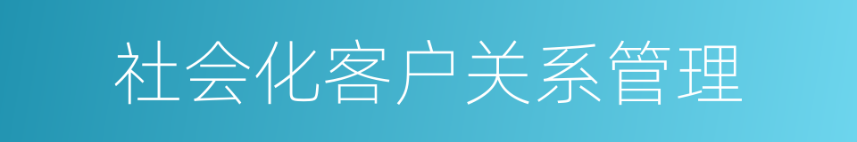 社会化客户关系管理的同义词