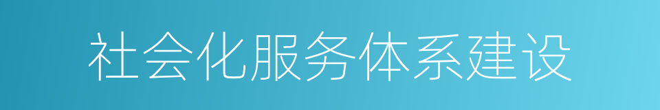 社会化服务体系建设的同义词