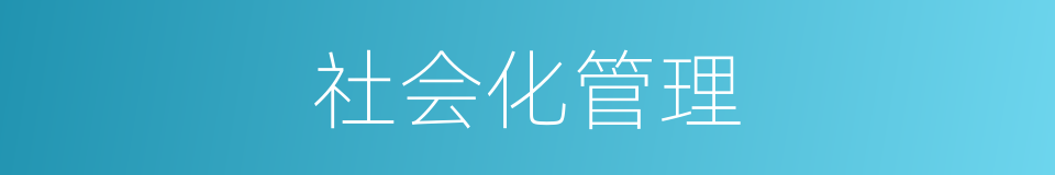 社会化管理的同义词