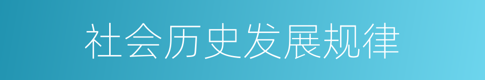 社会历史发展规律的同义词