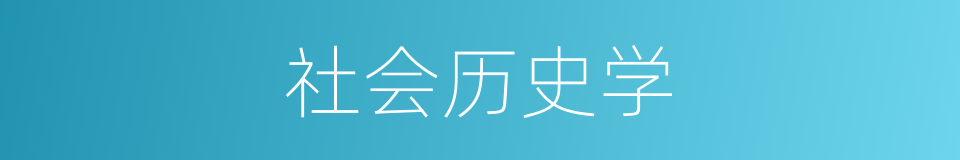 社会历史学的同义词